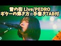 589-12:雪の街 Live/PEDRO⭐︎ギター弾き方解説⭐︎手書きTAB付