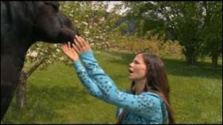 Flicka 2 - a year without rain.