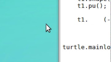 Python for Kids - Turtle module Beginner - Turtle Race