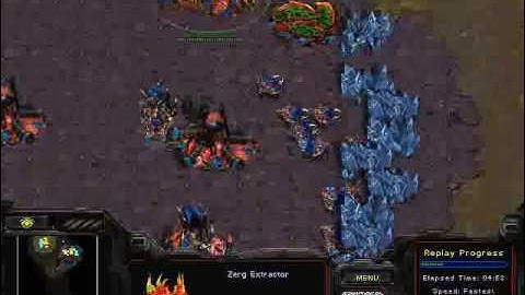 ZvP Beginners Part 1