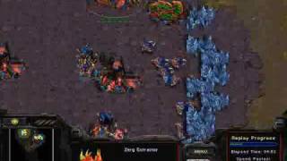 ZvP Beginners Part 1