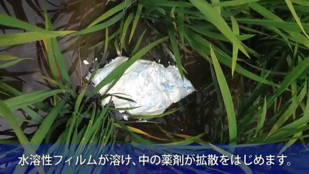 フジワンパック（パック製剤の拡散）