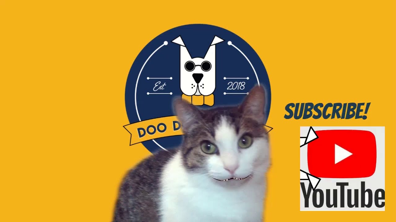 Cat World Domination Day