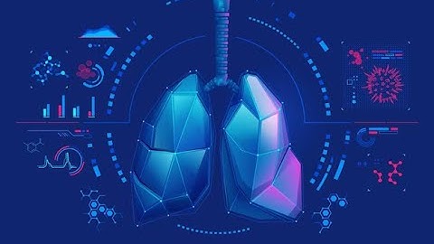 Techgium | BronchAI | Lung Tumor Segmentation