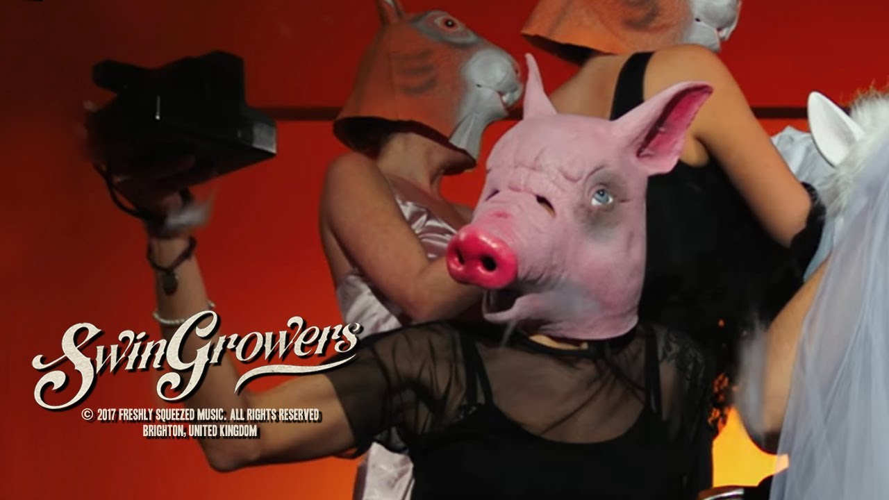 Watch Swingrowers - Selfie Face (Official MV) #electroswing on YouTube Watch Swingrowers - Selfie Face (Official MV) #electroswing on YouTube