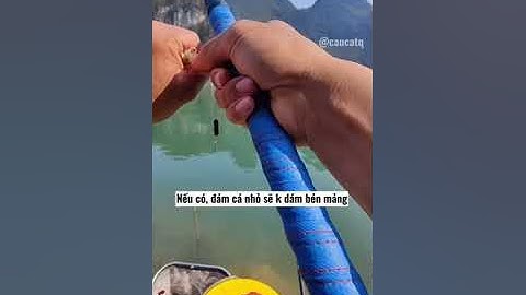 Thử thách câu cá tùy duyên tập 8