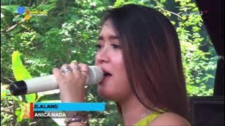 Ilalang - Fera Cantika || Anica Nada The Spesial One Of Musik Pantura || Machica Mochtar