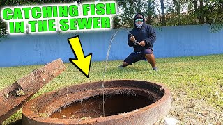 Man Catches Fish In Sewer