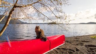 Bolt and Keel explore Vancouver Island by canoe