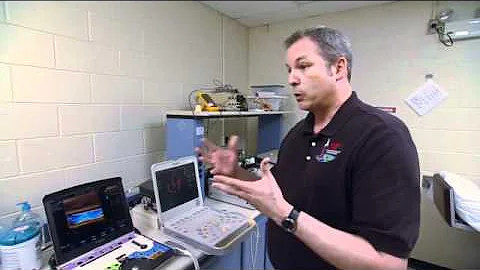 Interview With Steven Platts, Lead Scientist, Card...