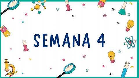 Video Psicología Experimental - Hámster Proyecto Final