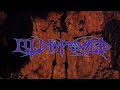 Capture de la vidéo Illdisposed - Submit 1995
