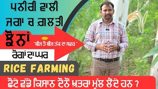 ਪਨੀਰੀ ਵਾਲੀ ਜਗ੍ਹਾ ਦੋਬਾਰਾ ਲਾਓ paddy nursery field management