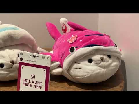 Hotel JAL City Haneda Tokyo West Wing | Best Place To Stay Near Haneda Airport