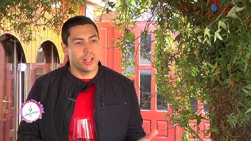 Lady of Wine - Vinske priče: Vinarija Stemina