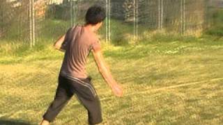 Dario - Teaser 2011