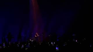 Olivia Rodrigo - Favourite Crime (Live at Forest National, Brussels Belgium)