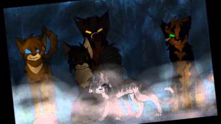 Tigerstar: World So Cold