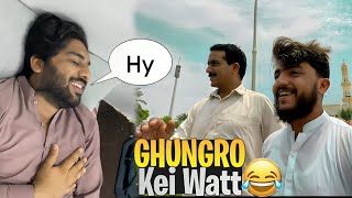 GhUNGRO ki Lgai  Watt🤣🫡(VLAWGS)  Hamza Ali VLAWGS