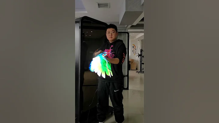 65cm deluxe version bird and fish #bird #3D #ledfan #holographic #advertising #fyp