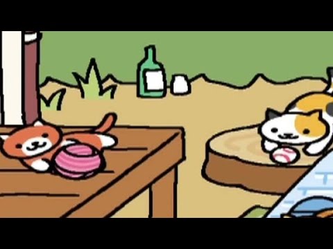 Japan's Feline Frenzy