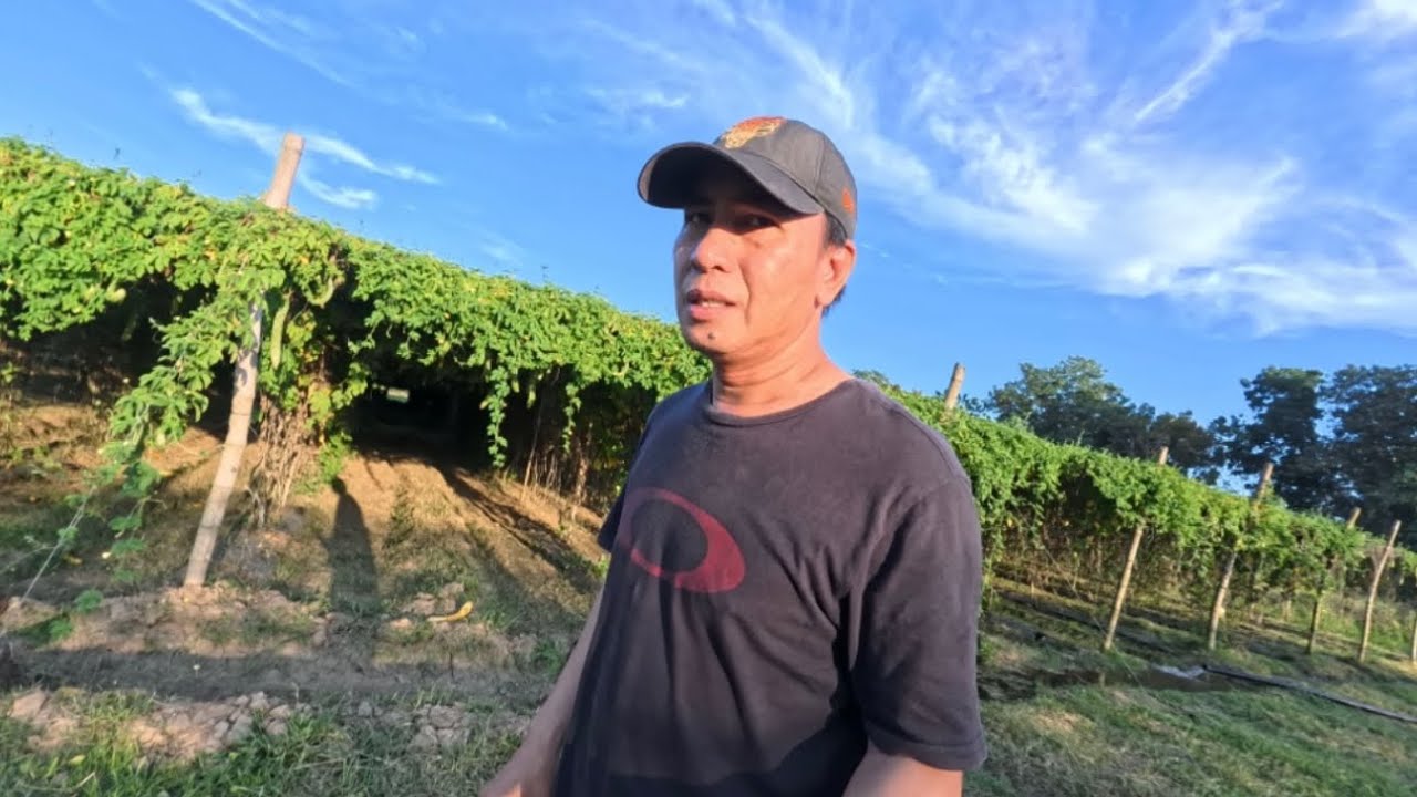 SUNTOK SA BUWAN ANG LAGAY NAMIN DITO