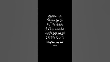 سورة غافر القارئ #سعد_الغامدي