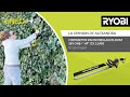 Cortasetos sin escobillas de 60cm 18V ONE+™: Opinión del cliente Alexandra - RYOBI®