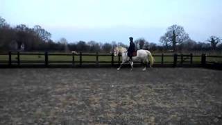 Billy flat work 20/3/11 'theres hope in this life :)'