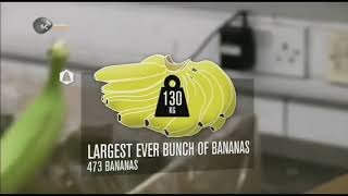 Транспортировка бананов как это сделано how this is done