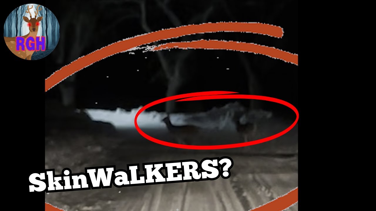 Real Ghost Animals at Creepy Ghost Dog Park! CAUGHT ON CAMERA!!!