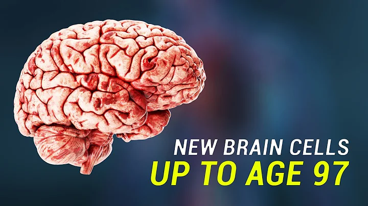 The human brain can grow new neurons up to age 97 - DayDayNews