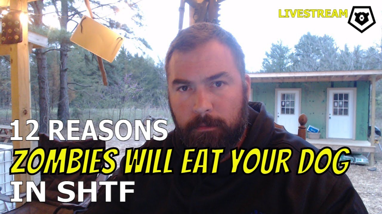 12 Reasons Zombies Will Eat Your Dog in SHTF (a livestream) YouTube