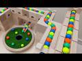 Marble Run Race ☆ HABA Slope + Cuboro + Bornelund Quadrilla + Transparent pipe