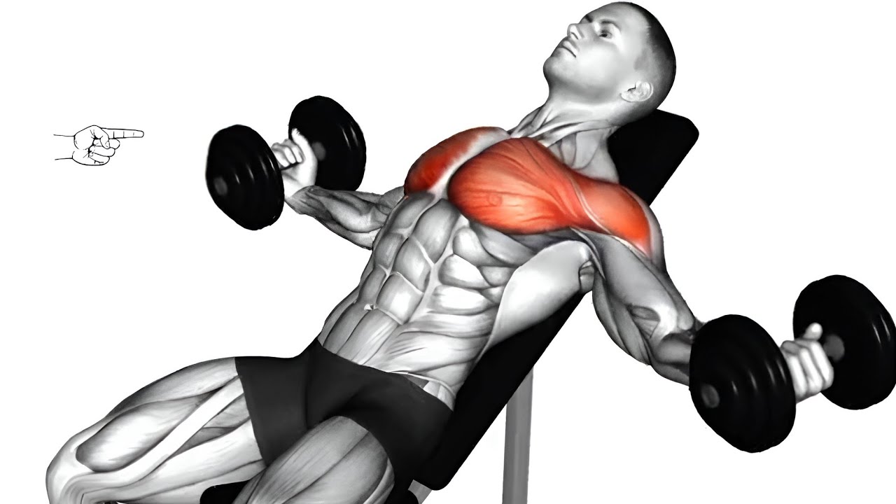 10 BEST CHEST EXERCISE WITH DUMBBELLS ONLY - YouTube