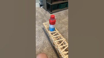 I Made The WORLDS STRONGEST POPSICLE BRIDGE!!!!!!!!!  MUST WATCH😱🤯