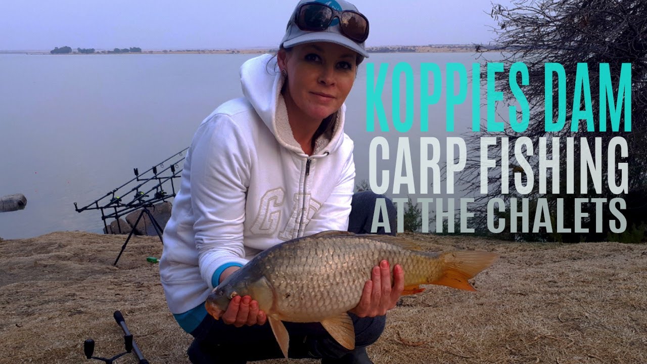 Carp fishing and chalets at Koppies Dam, South Africa (Aug 2018