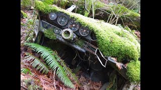 Находка в лесу распиленный Рorsche 911 singer