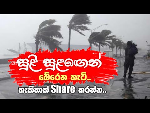 සුළි සුළගෙන් බේරෙන හැටි | How to Survive a Hurricane