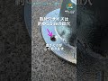 固定ベース金具F-1R 検証②｜木ねじ 呼び径5.1mm を試してみた【LABO金具】