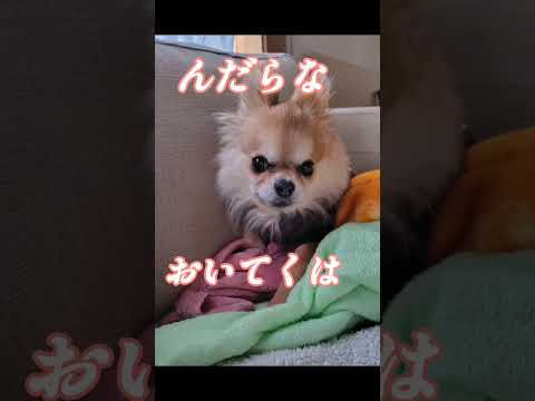 青のりついった！笑うなず🤣歯さついった！何食ったのやWWWどんどん焼