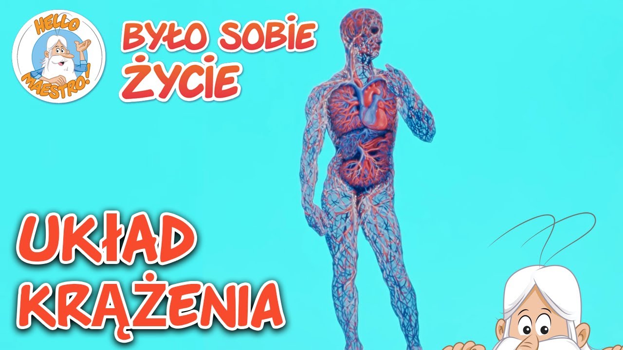 Układ krążenia | Pełne Odcinki | Było sobie... Życie