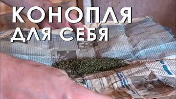 Конопля для себя