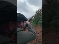 Beretta Shotgun 