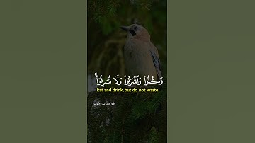 سورة الأعراف. #اكسبلور #اسلام #المصحف #راحة_نفسية #تيك_توك #تلاوة_خاشعة #قرآن #لايك #islam #muslim