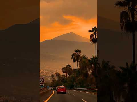 🔥 LET SUCCESS SHAKE THE GROUND 🔥 | Powerful Roots Reggae Motivation Song 2026 | #reggae #motivation