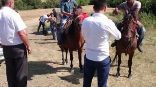 Kəndə Toy Gəlir Məmişli Kəndi 2015 Neymətin Toyu