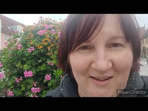 Как переехать в Германию. Пошаговая инструкция для украинских беженцев. #германия .