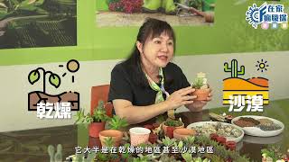 新北在家瘋職探|正德中心|我的「盆」友肉多多 多肉植物