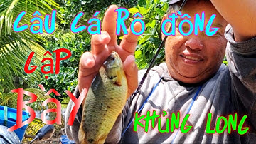 Lên khu nay chạm trán với đàn khủng long,vừa xuống mồi nhảy lên đớp.#caucahocmon